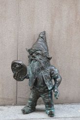 Jany Dwarf, Wroclaw